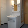洗面所(シャワー付洗面台)・写真は201号室